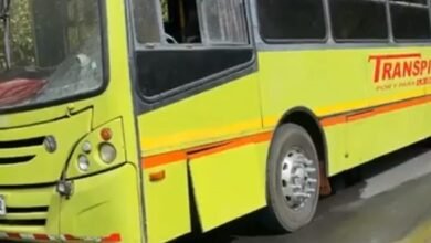 bus-ciudad-quesada-