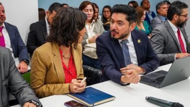 gobierno-fees