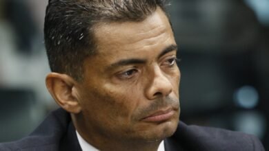carlo-diaz-estructura