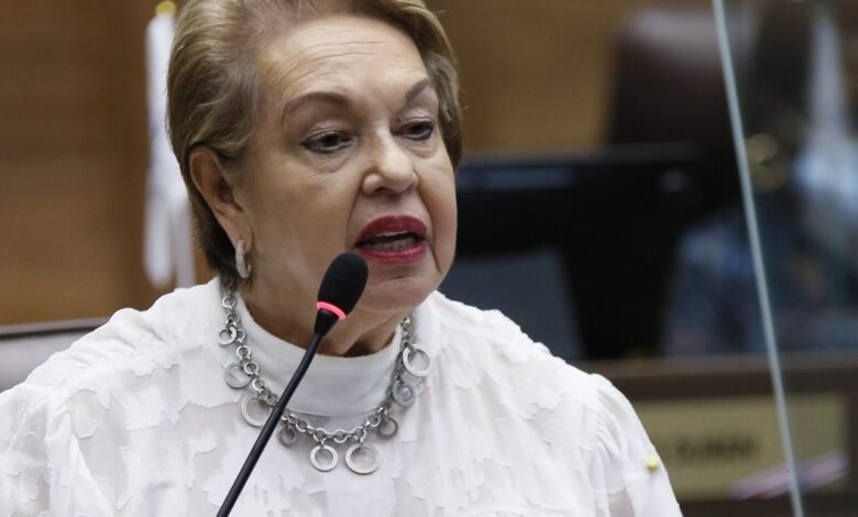 Gloria-Navas-Diputados