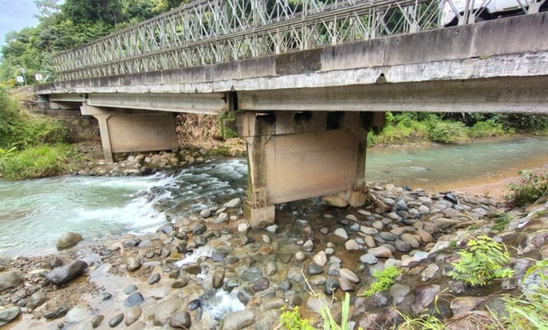 puente-osa