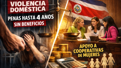violencia-domestica-ley-diputadas