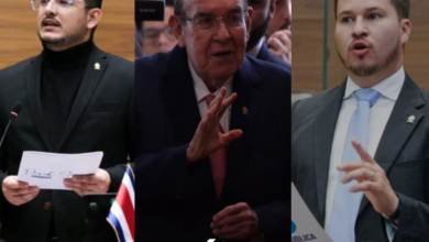 Diputados