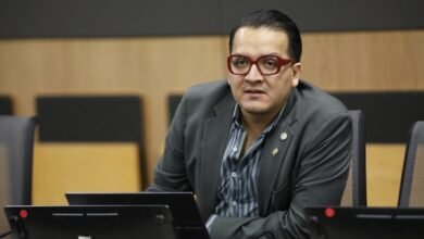 diputado