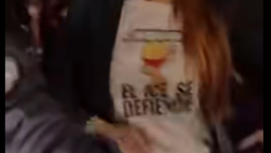 Diputada