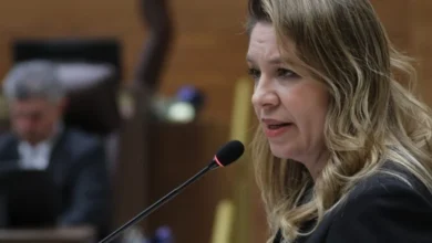 Claudia-Dobles- presupuesto