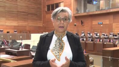María Eugenia-Román-Diputada