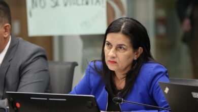 Martha-Esquivel-Diputada