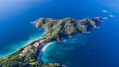 Papagayo