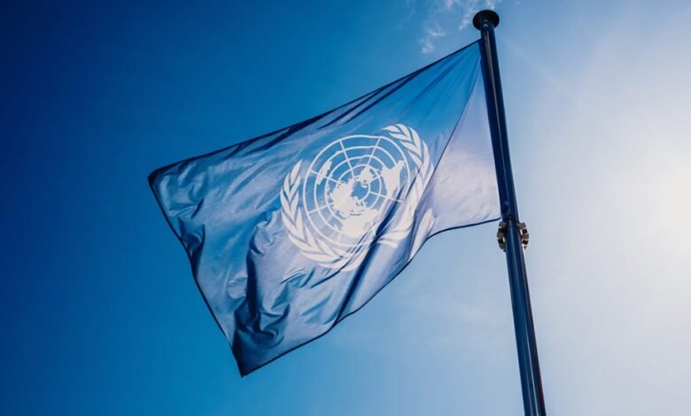 ONU-Defensa