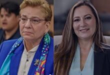 Diputadas