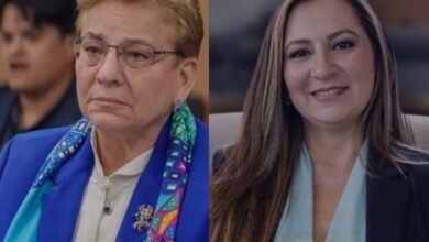 Diputadas