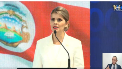 Laura Fernández-Político