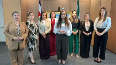 Diputadas