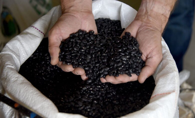 Frijoles