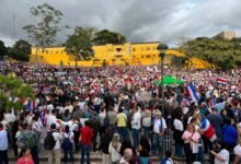 Plantón