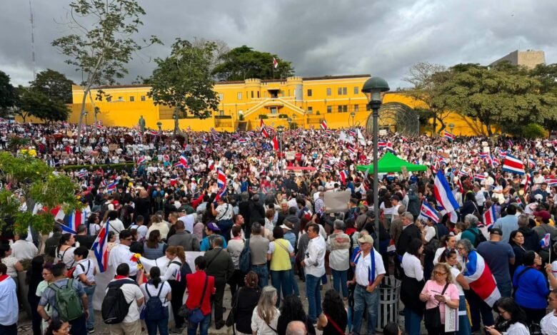 Plantón