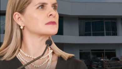 ICD-Laura Fernández