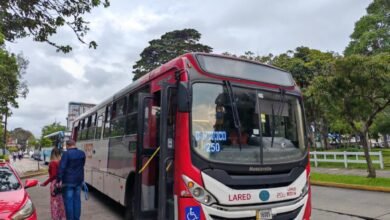 Buses