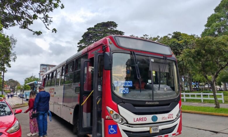 Buses